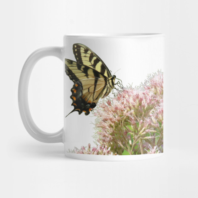 Butterfly on pink flowers with no background by BirdsnStuff