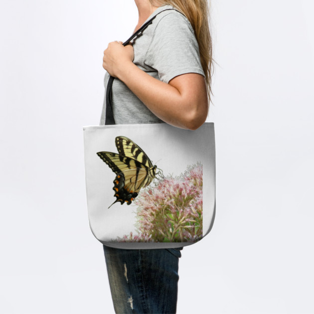 Butterfly on pink flowers with no background by BirdsnStuff