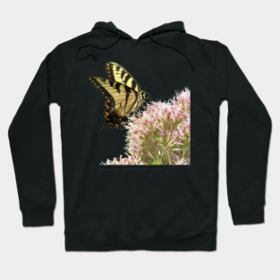 Butterfly on pink flowers with no background Hoodie