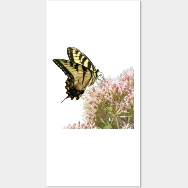 Butterfly on pink flowers with no background Wall Art by BirdsnStuff