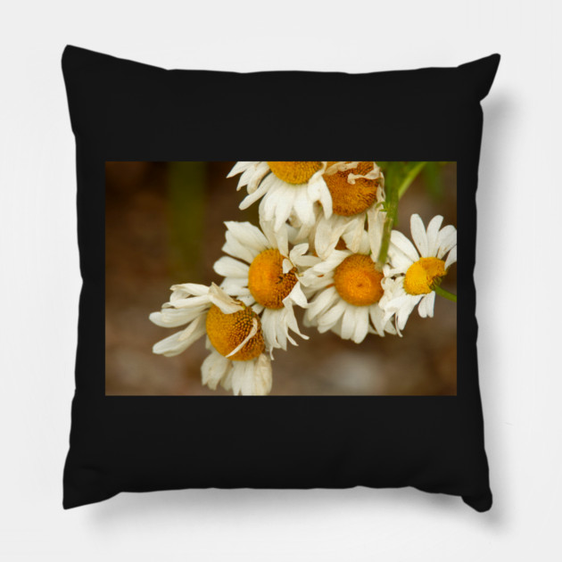 Giant Sunflowers Pillow by BirdsnStuff