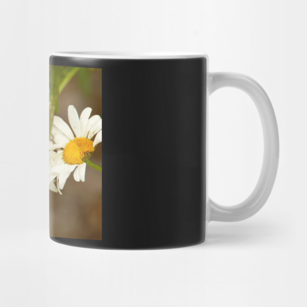 Giant Sunflowers by BirdsnStuff