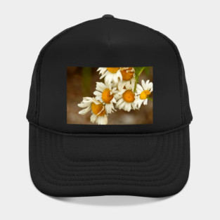 Giant Sunflowers Hat