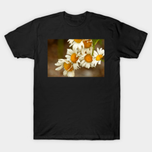 Giant Sunflowers T-Shirt