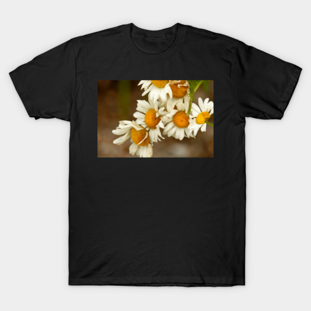 Giant Sunflowers T-Shirt by BirdsnStuff