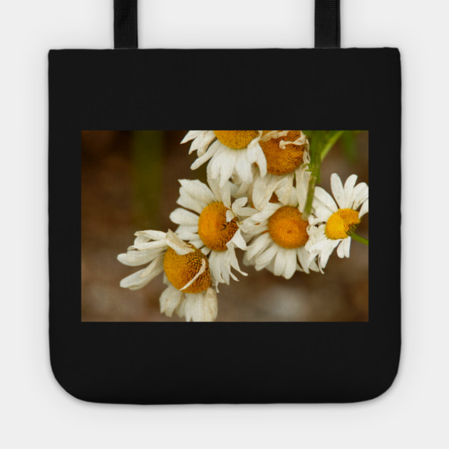 Giant Sunflowers Tote by BirdsnStuff