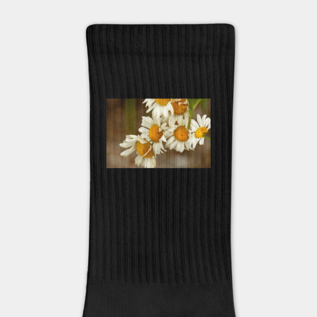 Giant Sunflowers by BirdsnStuff