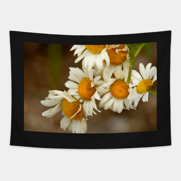 Giant Sunflowers Tapestry by BirdsnStuff