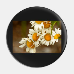 Giant Sunflowers Pin