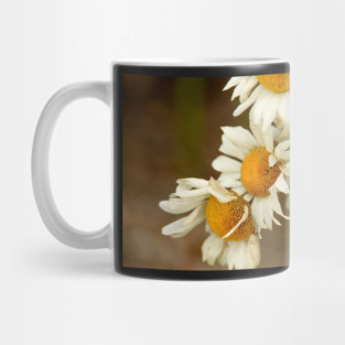 Giant Sunflowers Mug
