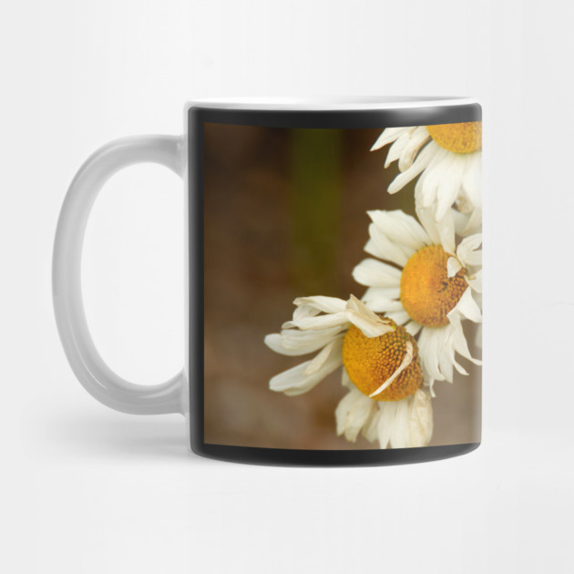 Giant Sunflowers by BirdsnStuff