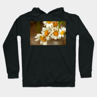 Giant Sunflowers Hoodie