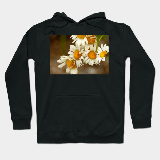 Giant Sunflowers Hoodie by BirdsnStuff