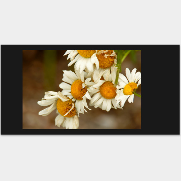 Giant Sunflowers Wall Art by BirdsnStuff