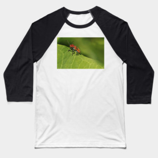 Red and black beetle on a leaf Baseball T-Shirt