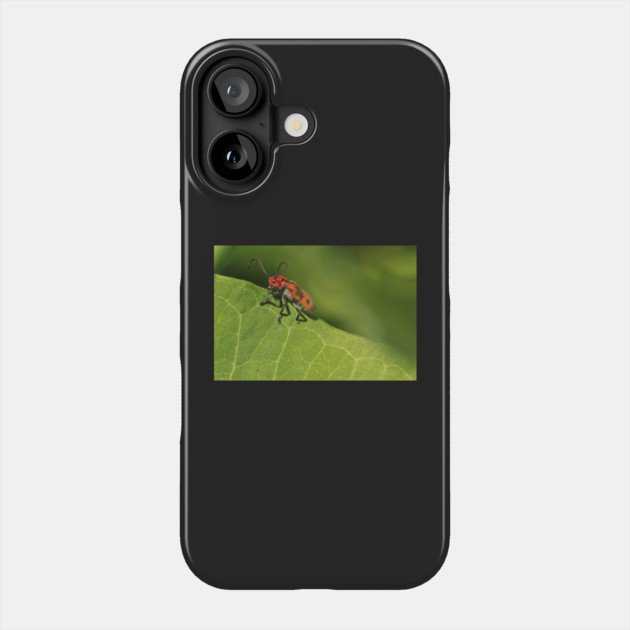 Red and black beetle on a leaf Phone Case by BirdsnStuff