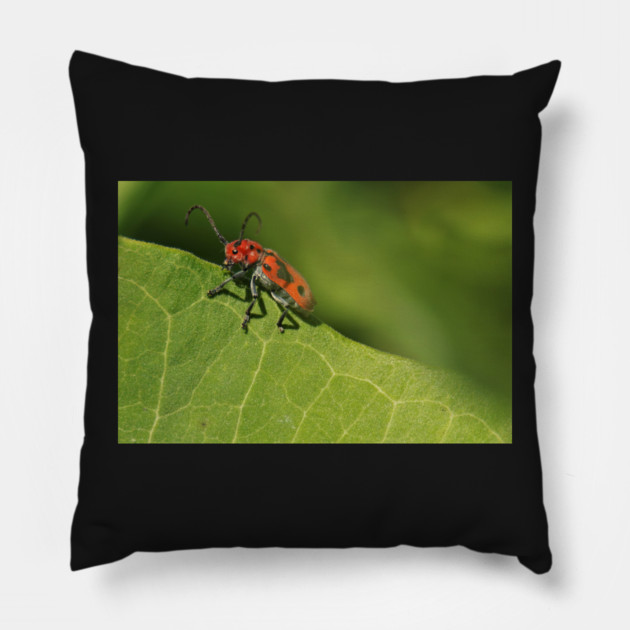 Red and black beetle on a leaf Pillow by BirdsnStuff
