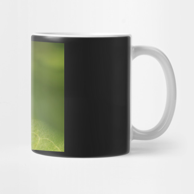 Red and black beetle on a leaf by BirdsnStuff