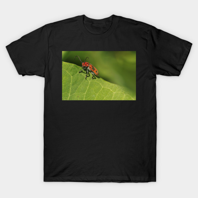 Red and black beetle on a leaf T-Shirt by BirdsnStuff
