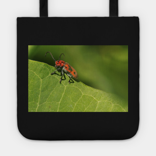 Red and black beetle on a leaf Tote by BirdsnStuff