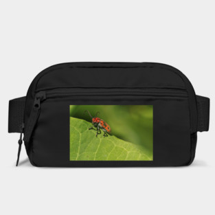 Red and black beetle on a leaf Bag