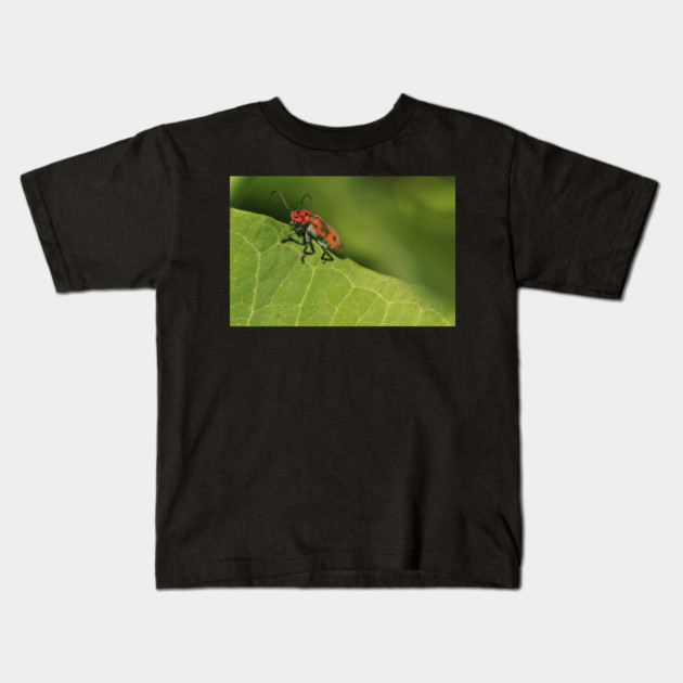 Red and black beetle on a leaf Kids T-Shirt by BirdsnStuff