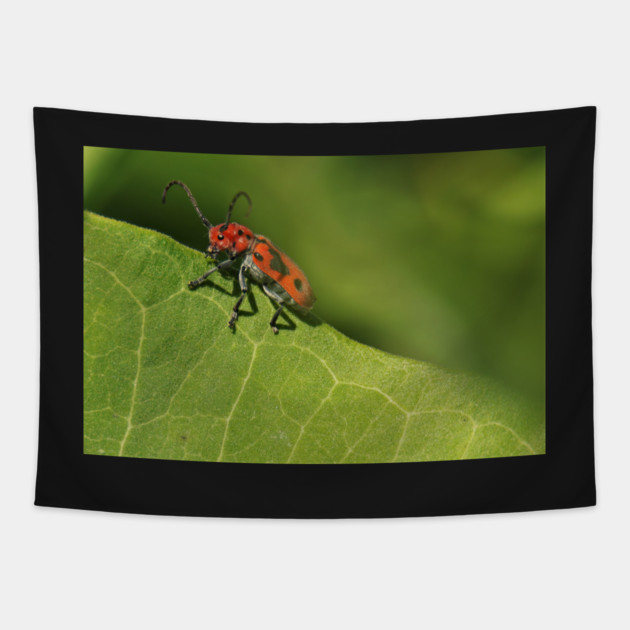 Red and black beetle on a leaf Tapestry by BirdsnStuff