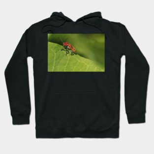 Red and black beetle on a leaf Hoodie