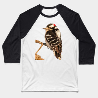 Downy Woodpecker with no background Baseball T-Shirt