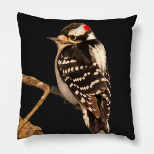 Downy Woodpecker with no background Pillow