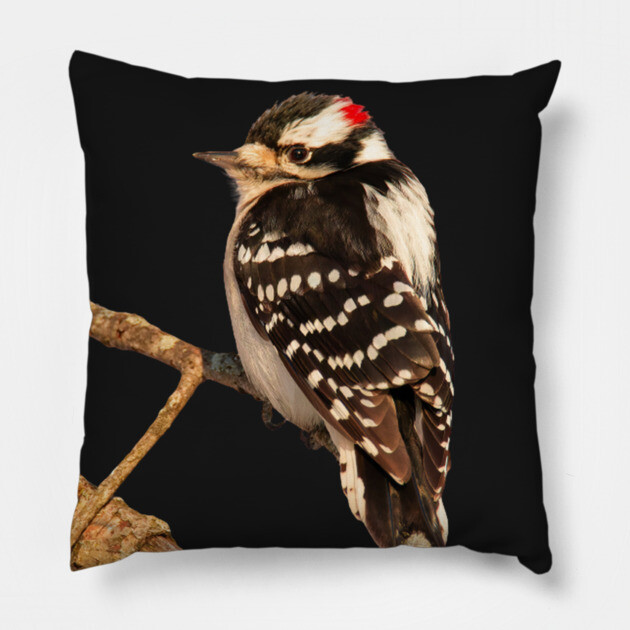 Downy Woodpecker with no background Pillow by BirdsnStuff