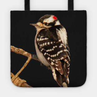 Downy Woodpecker with no background Tote