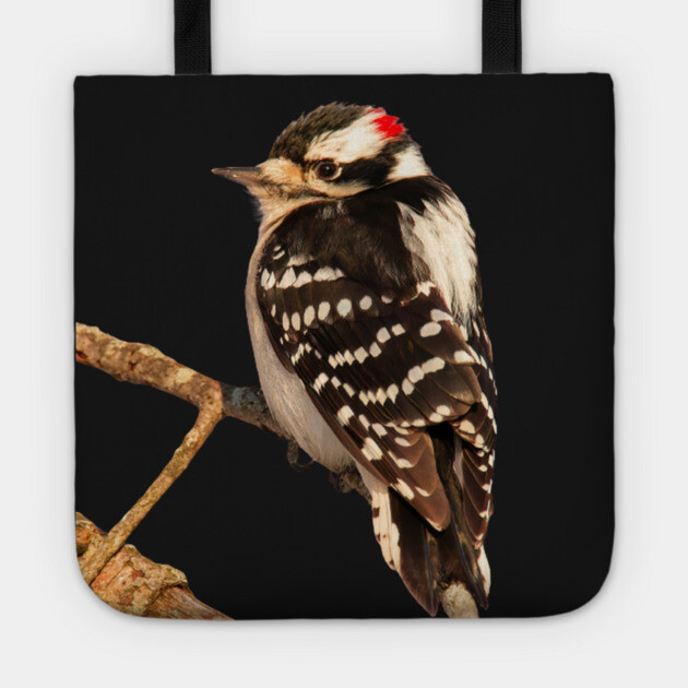 Downy Woodpecker with no background Tote by BirdsnStuff
