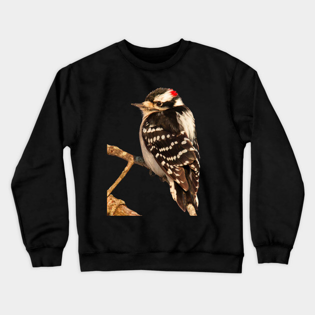 Downy Woodpecker with no background Crewneck Sweatshirt by BirdsnStuff