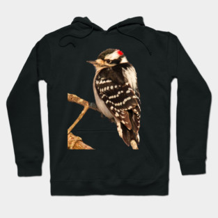 Downy Woodpecker with no background Hoodie