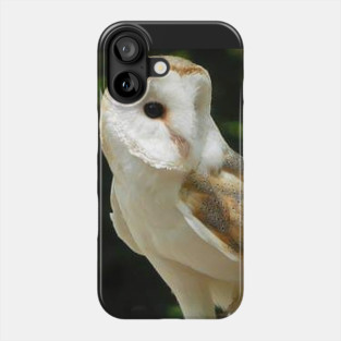 European Barn Owl Phone Case