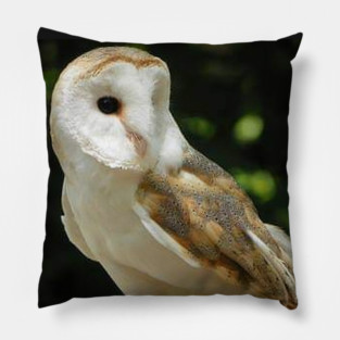 European Barn Owl Pillow