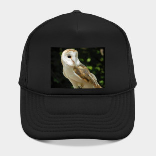 European Barn Owl Hat