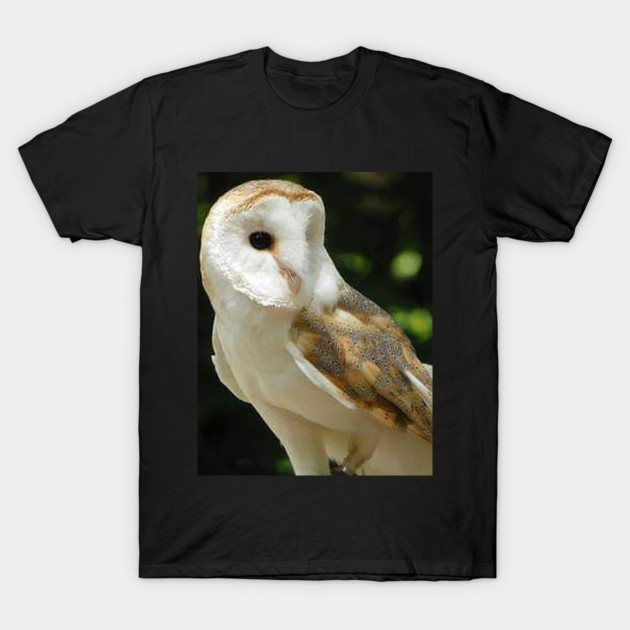 European Barn Owl T-Shirt by BirdsnStuff