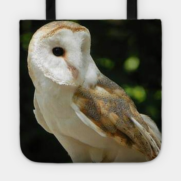 European Barn Owl Tote by BirdsnStuff