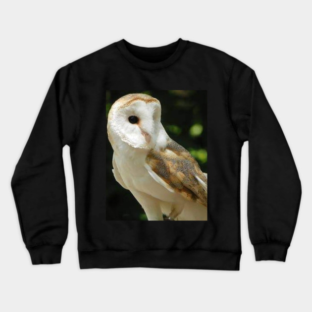 European Barn Owl Crewneck Sweatshirt by BirdsnStuff