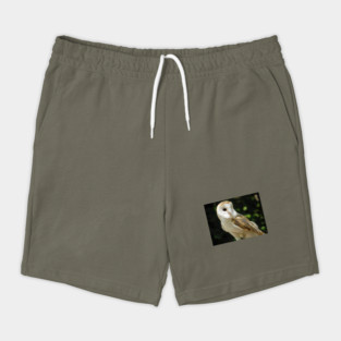 European Barn Owl Shorts