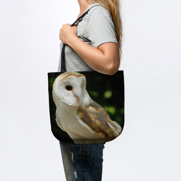 European Barn Owl by BirdsnStuff