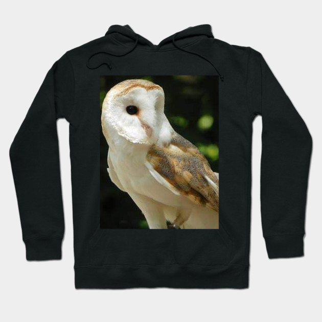 European Barn Owl Hoodie by BirdsnStuff