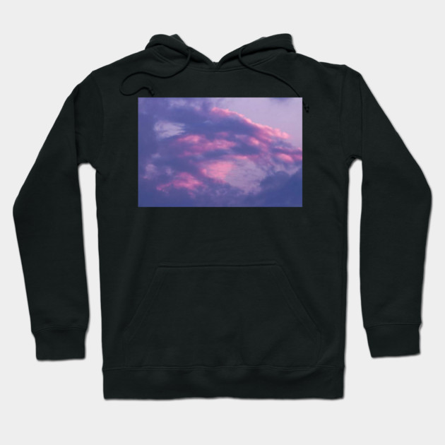 Purple and Pink Sky Hoodie by BirdsnStuff