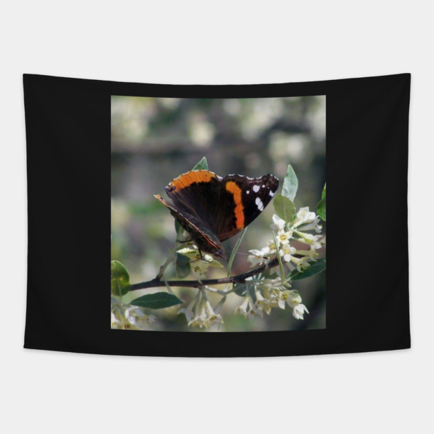 Orange and Black Butterfly with white spots Tapestry by BirdsnStuff