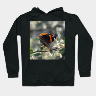Orange and Black Butterfly with white spots Hoodie