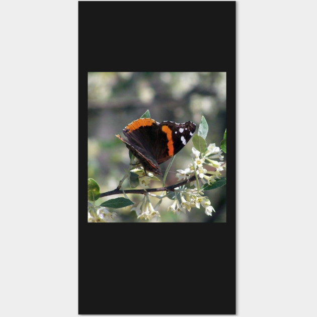 Orange and Black Butterfly with white spots Wall Art by BirdsnStuff