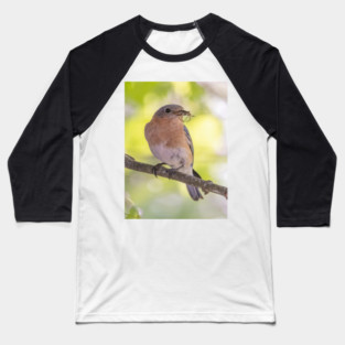 Eastern Bluebird with breakfast Baseball T-Shirt
