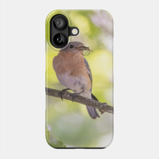 Eastern Bluebird with breakfast Phone Case